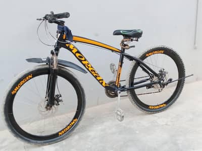Morgan importid cycle
