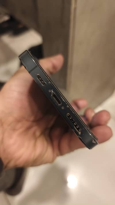 Apple iPhone 12 Pro Max