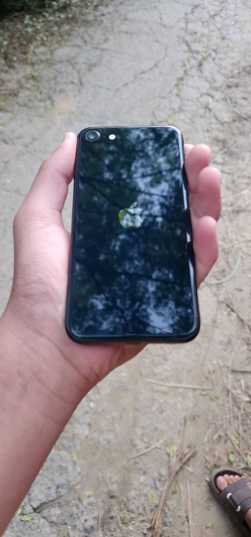Apple iPhone SE (3rd generation) with box 6