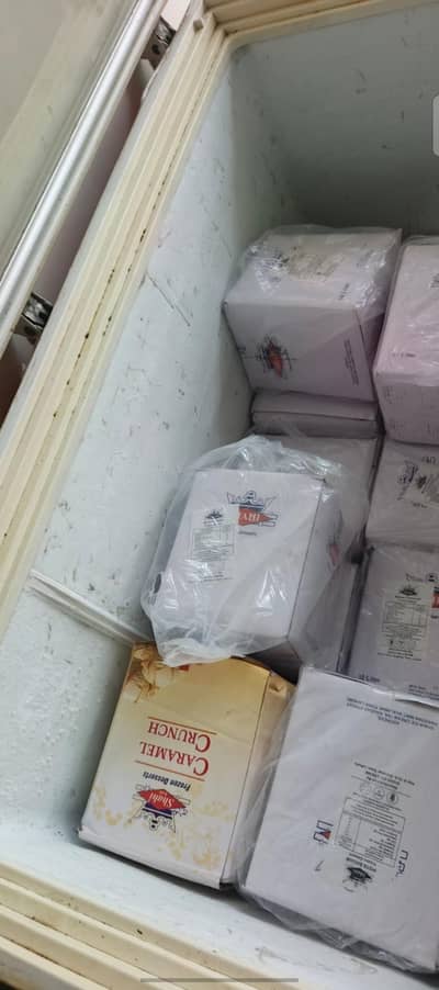 waves deep freezer fit condition