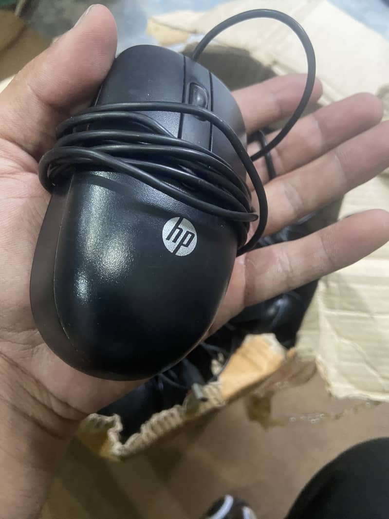 Mouse 1