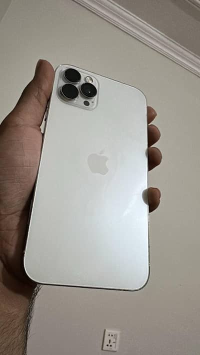 Iphone 11 converted to 12 Pro Max
