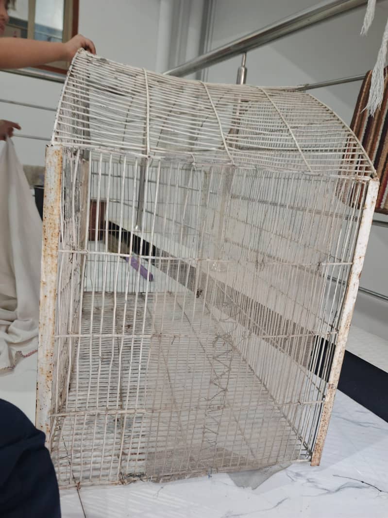 Large size bird cage 2