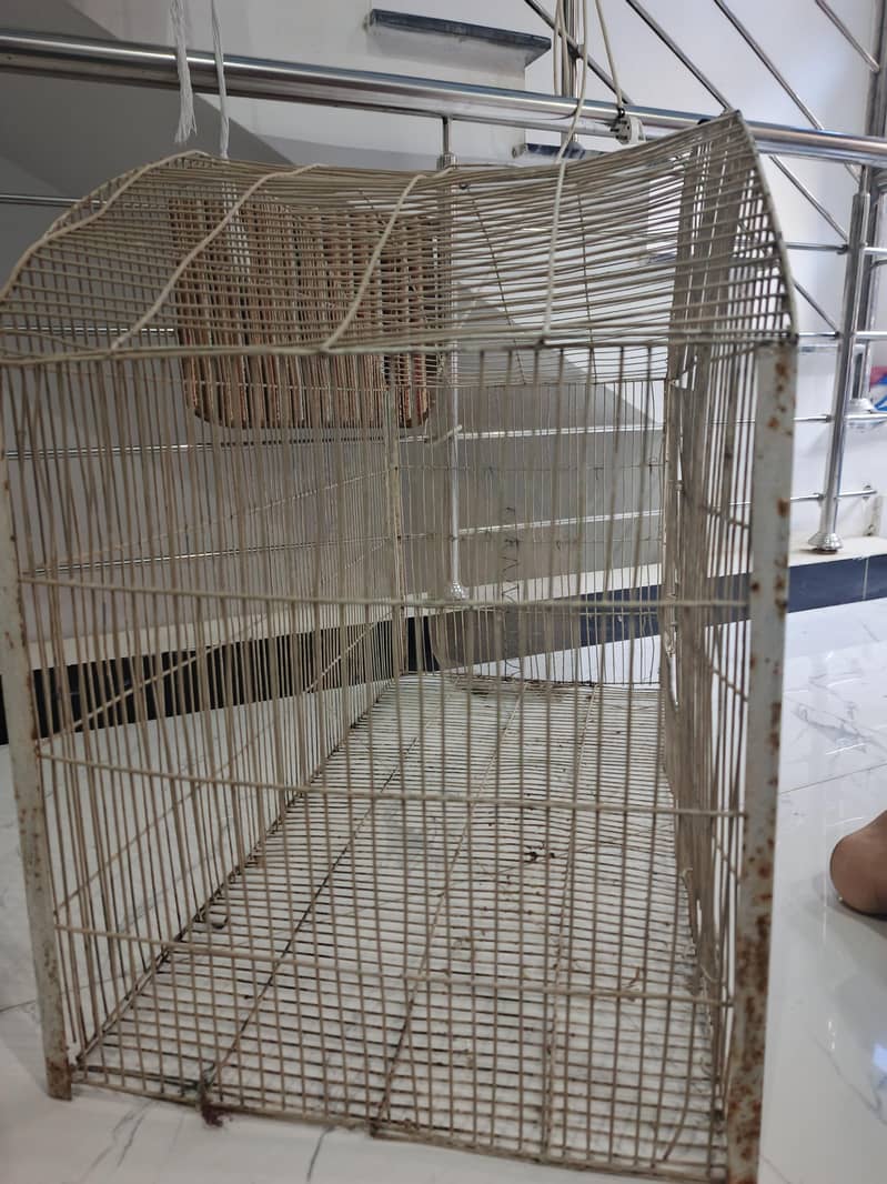 Large size bird cage 3