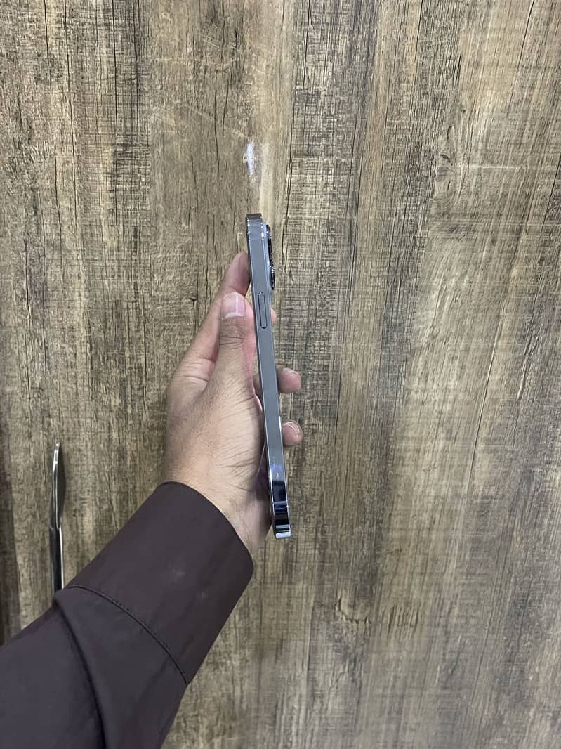 Apple iPhone 13 Pro Max 1
