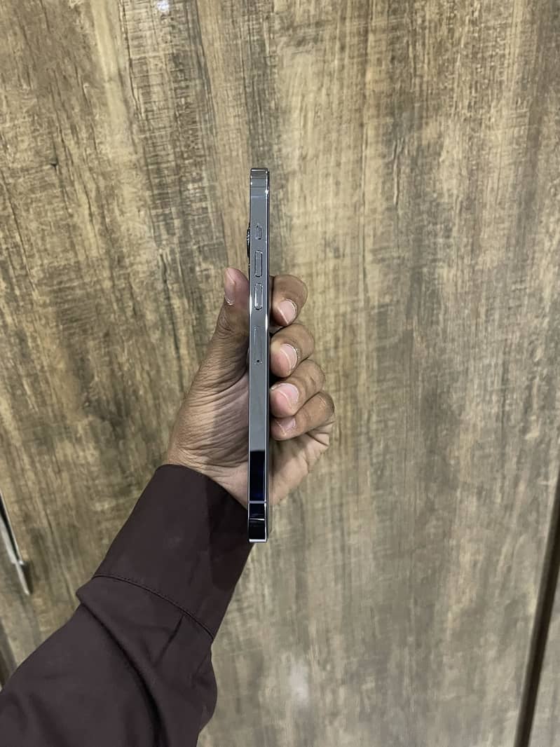 Apple iPhone 13 Pro Max 2