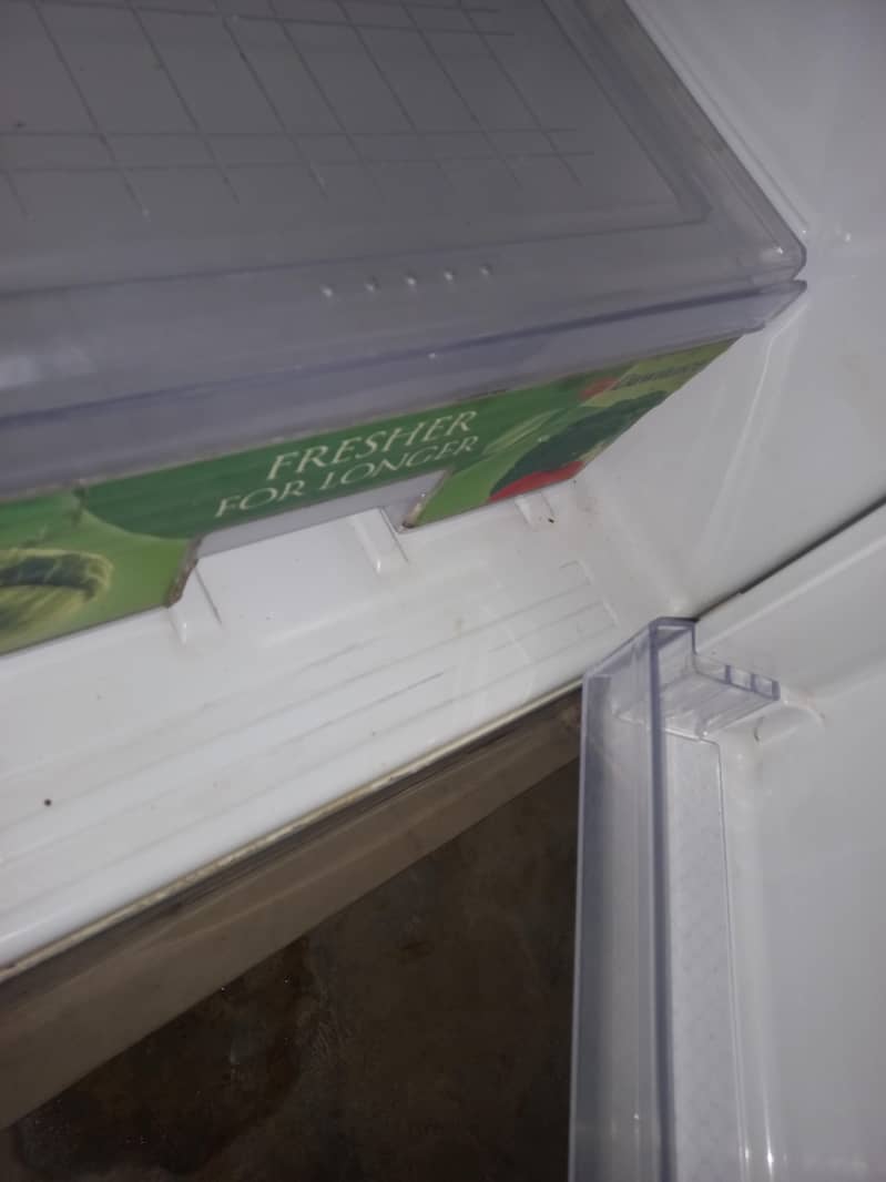 donwlc frige 1