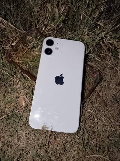 Apple iPhone 12 mini