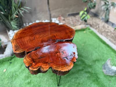 live wood coffee table