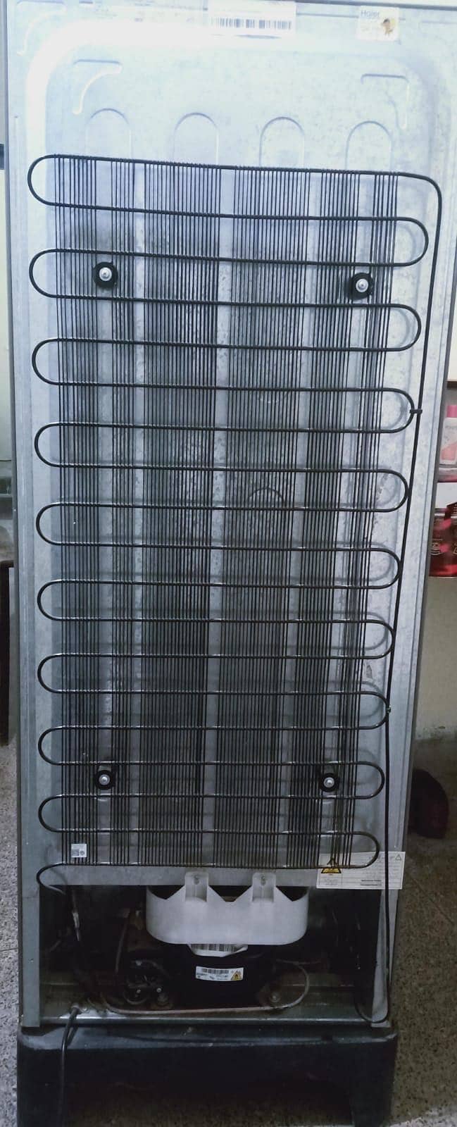 Haier Refrigerator 3