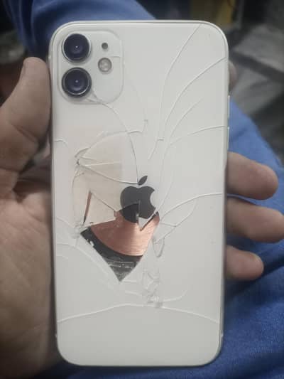 Apple iPhone 11 read full add