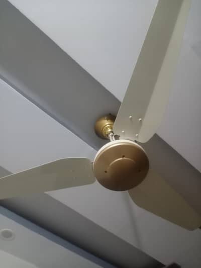 super Asia fan