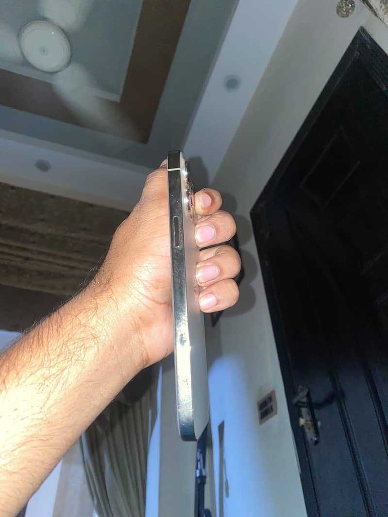 Apple iPhone 12 Pro Max 2