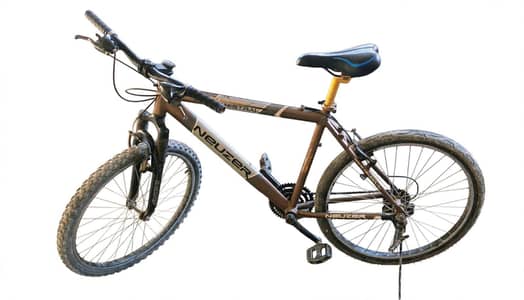 19" size cycle