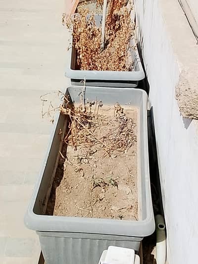 Plastic Kiari Planter,Price for 5 Pcs