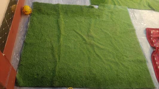 Green gross carpet