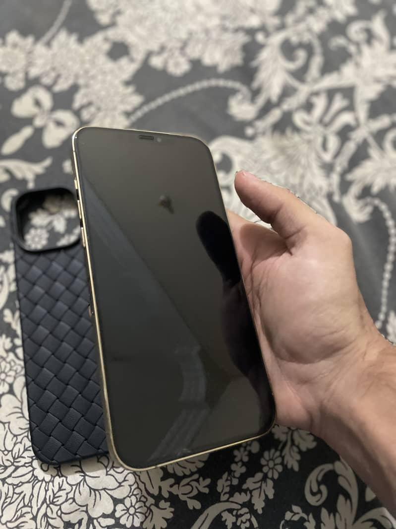 Apple iPhone 12 Pro Max 1