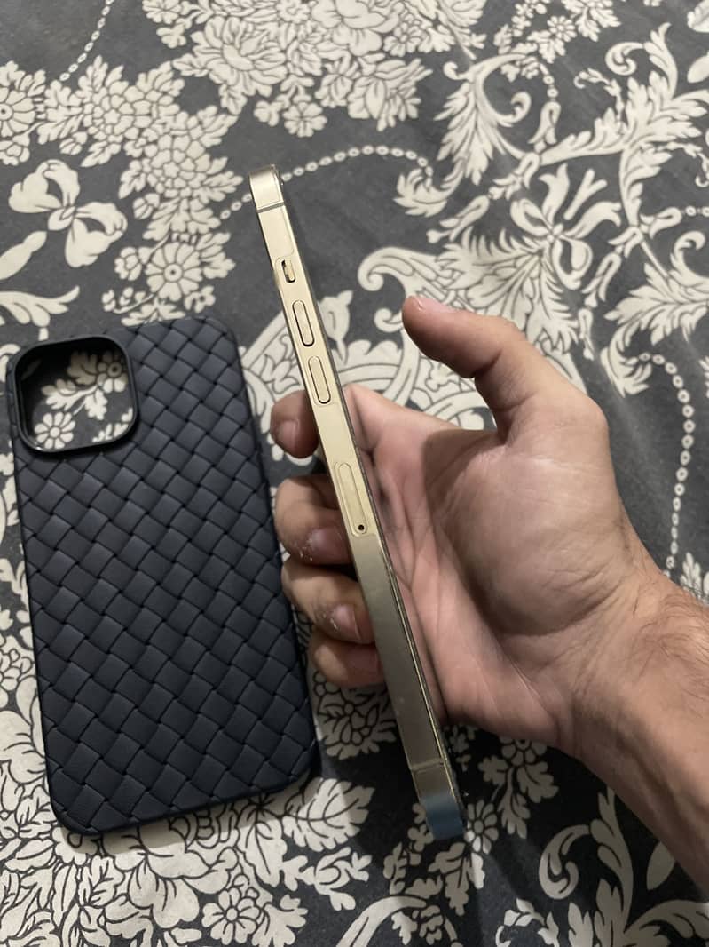Apple iPhone 12 Pro Max 2