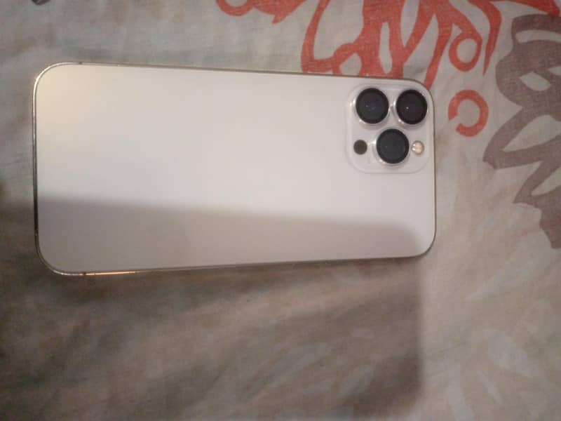Apple iPhone 13 Pro Max 11