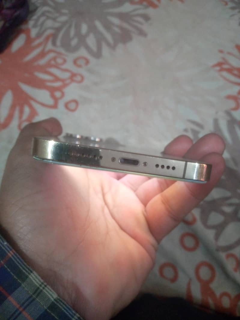 Apple iPhone 13 Pro Max 13