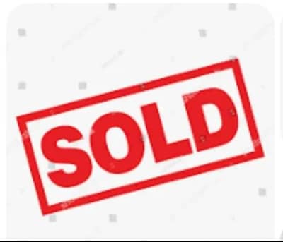 golden misri murgiya for sale. |golden misri | desi | austrolop