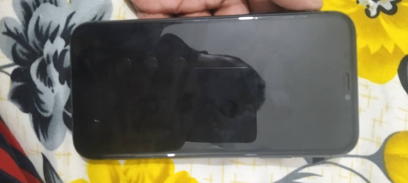 Apple iPhone 11 0