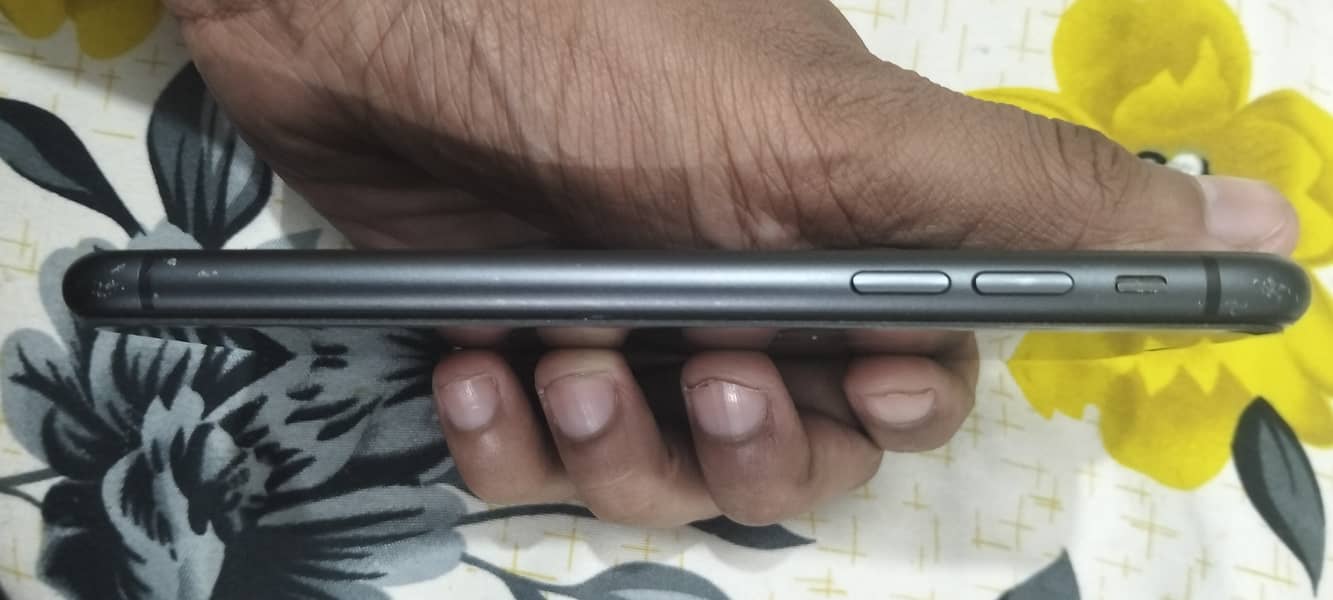Apple iPhone 11 2