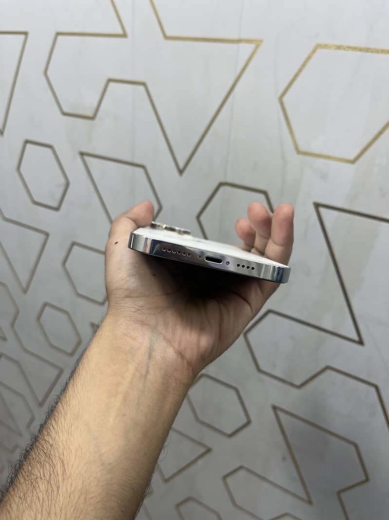 Apple iPhone 13 Pro Max 1