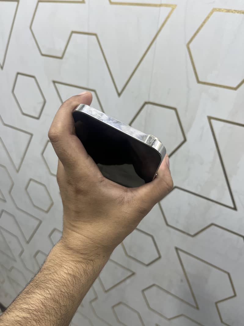Apple iPhone 13 Pro Max 2