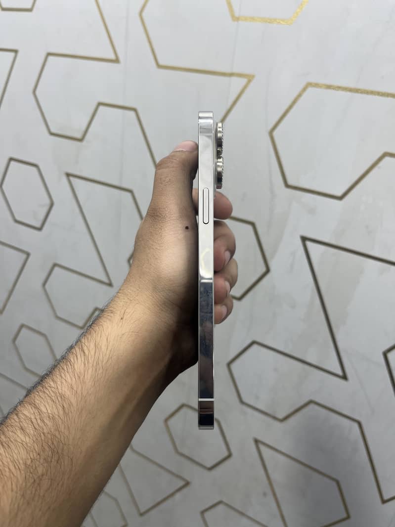 Apple iPhone 13 Pro Max 3