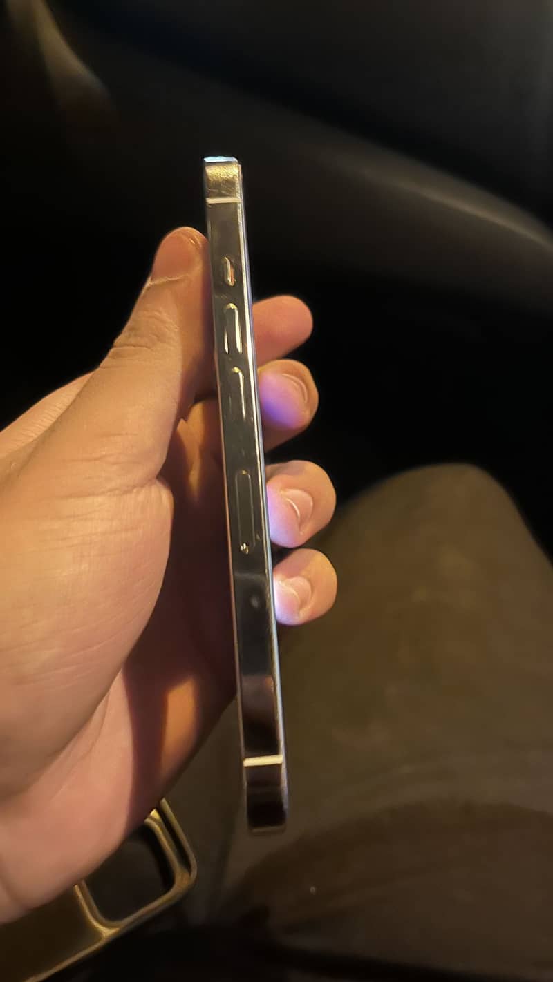 Apple iPhone 13 Pro 2