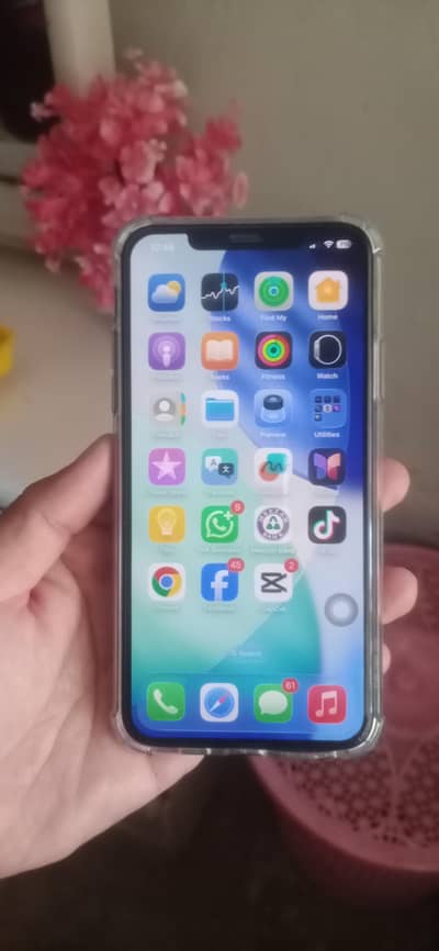 Apple iPhone 11 Pro Max water pack, 256 Approved