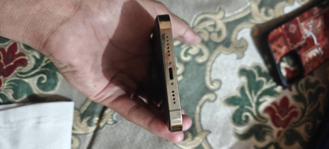 Apple iPhone 13 Pro Max 1