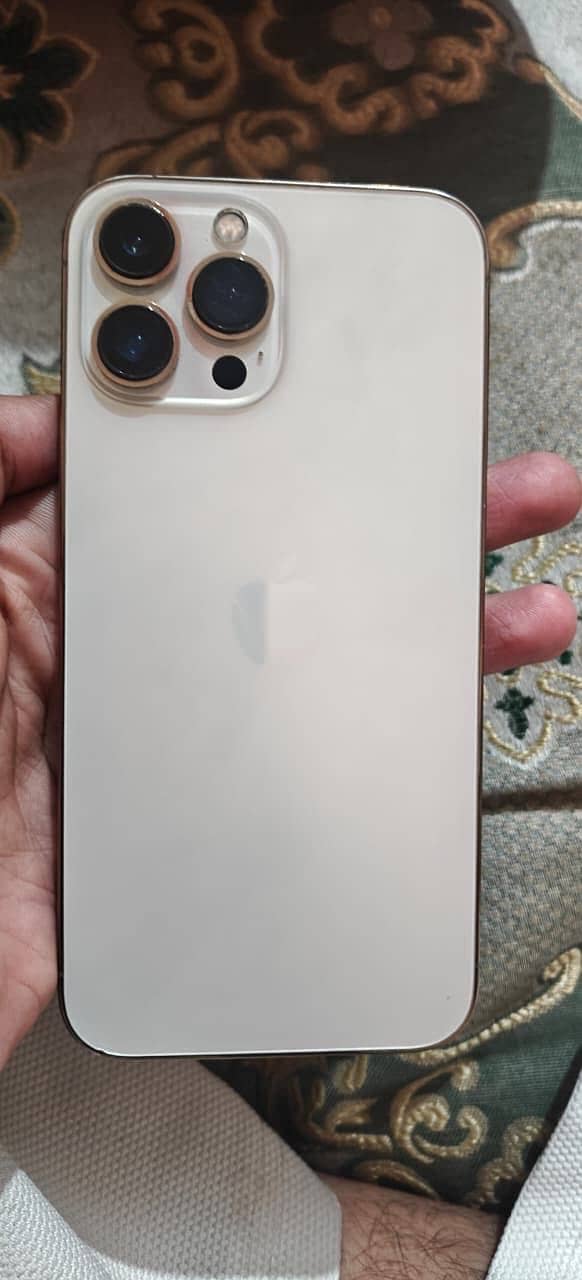 Apple iPhone 13 Pro Max 0
