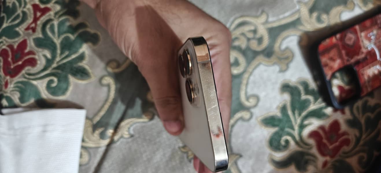 Apple iPhone 13 Pro Max 4