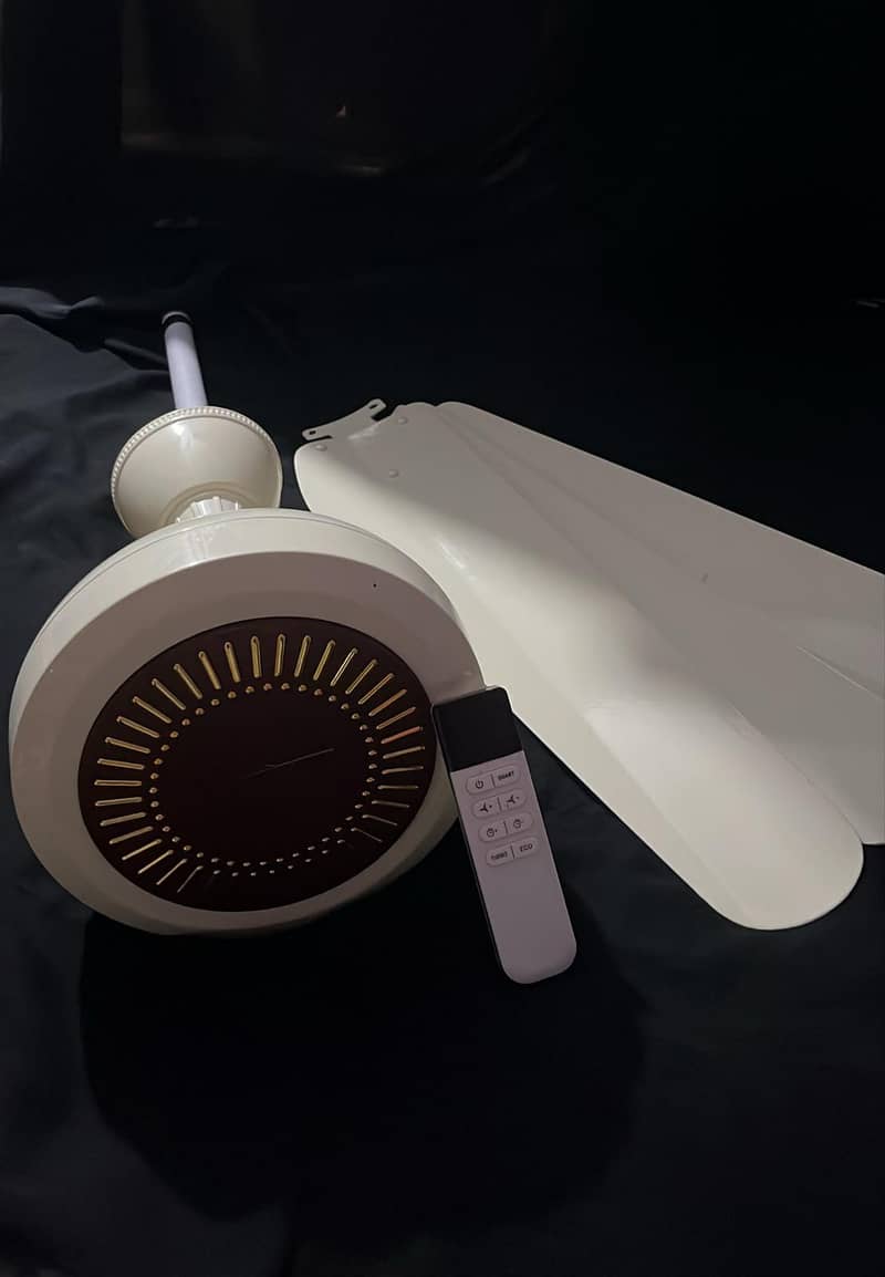 Ceiling fan 1