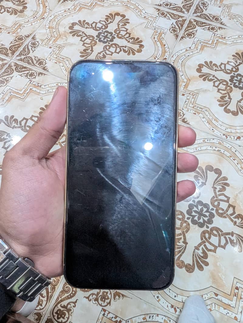 Apple iPhone 13 Pro Max 1