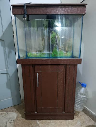 Fish Aquarium for sale