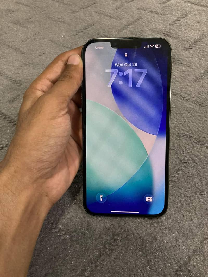 Apple iPhone 13 Pro Max 3