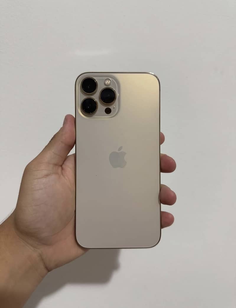 iPhone 13 Pro Max 0