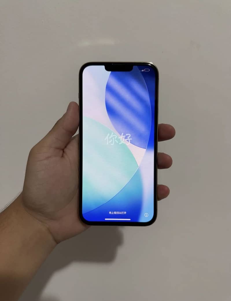 iPhone 13 Pro Max 1