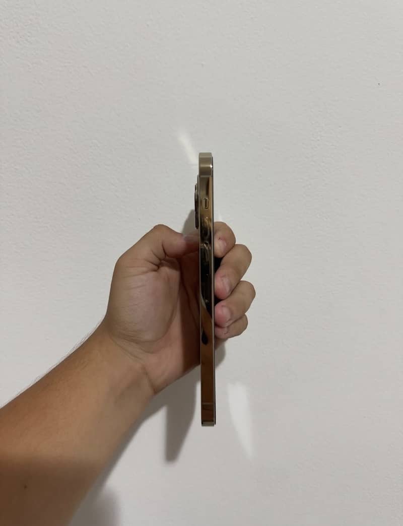 iPhone 13 Pro Max 2