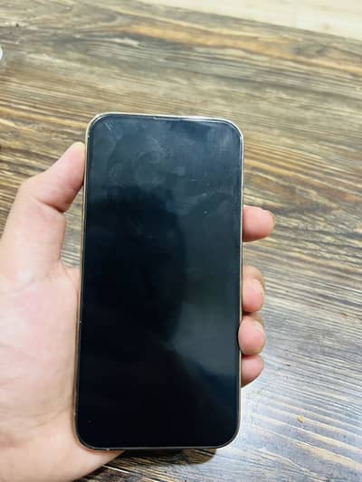 Apple iPhone 13 Pro