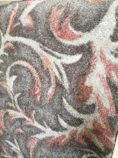 Master Size BedRoom Carpet