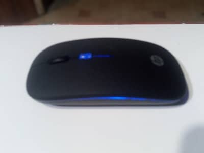 Mouse