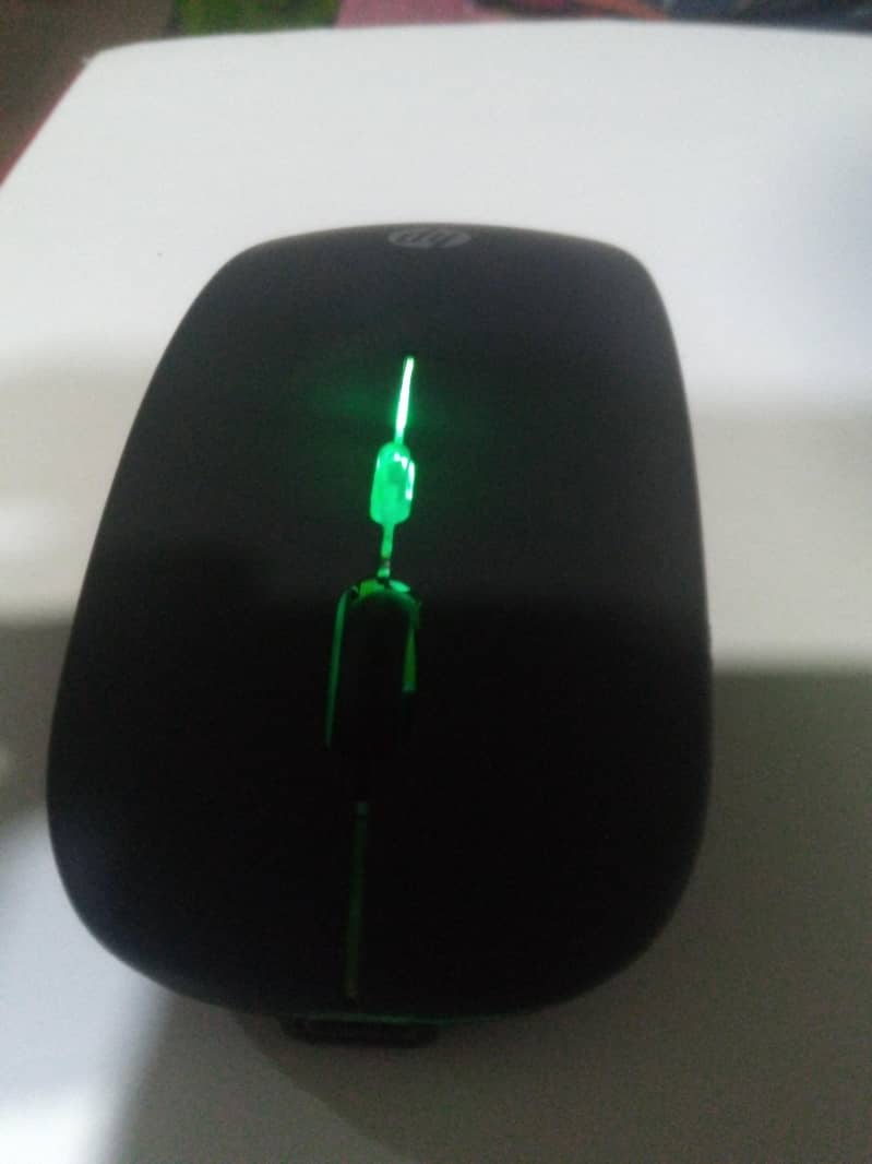 Mouse 7