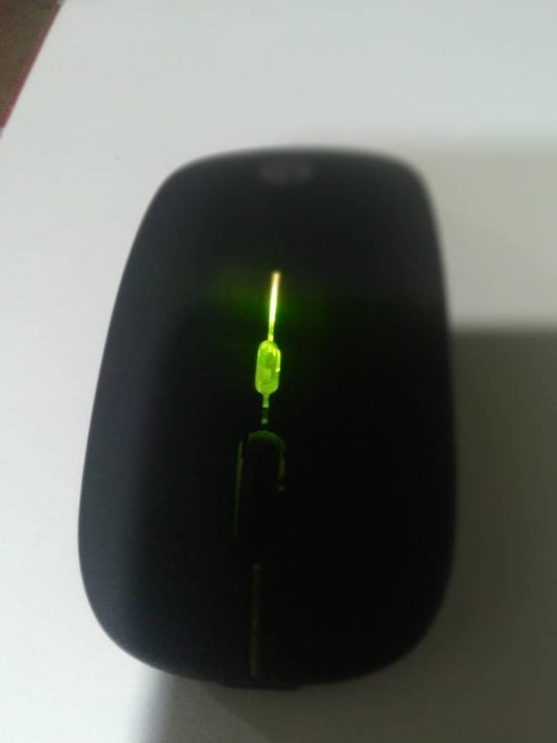 Mouse 10