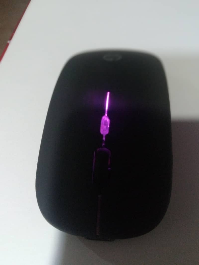 Mouse 11