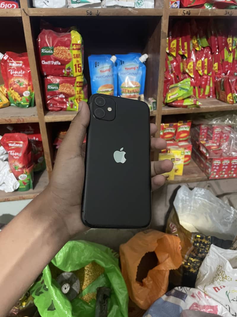 Apple iPhone 11 0
