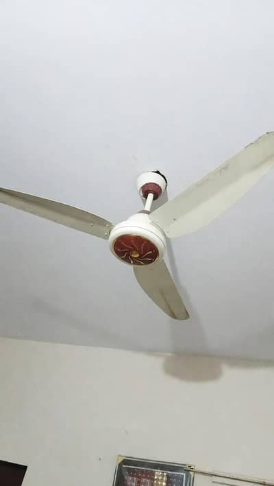 Tamoor AC DC